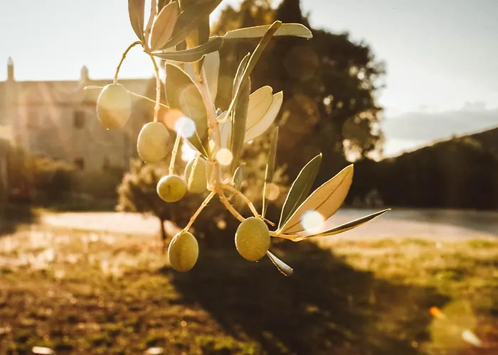 Agriturismo Podere Luchiano Amelia