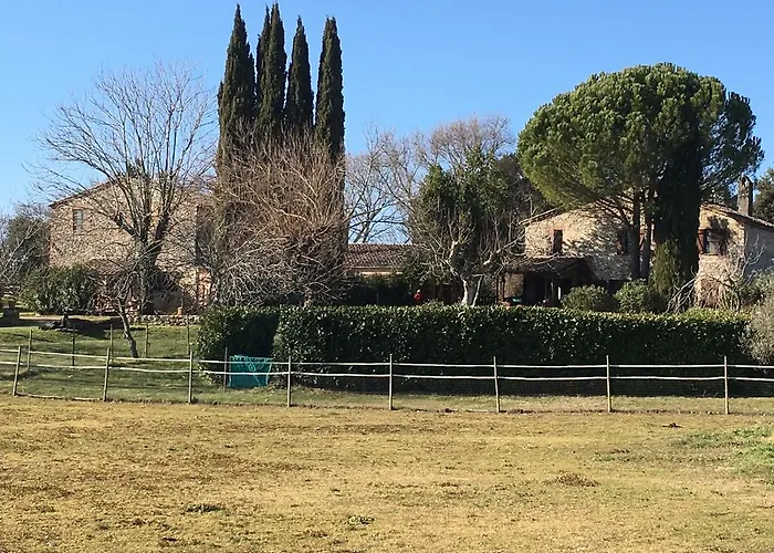 Podere Conte Racani Amelia